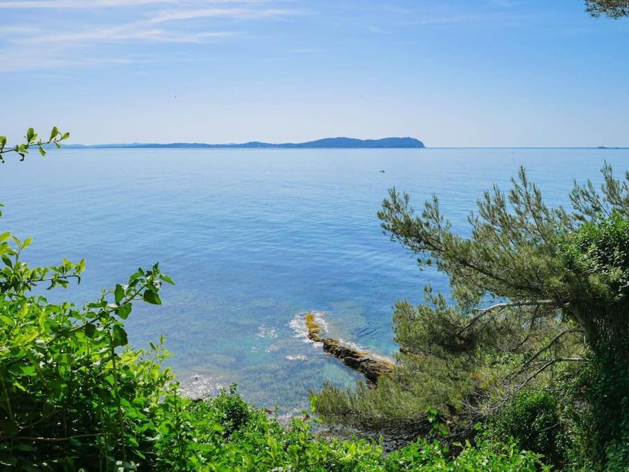 Maisonnette Avec Vue Sur La Mer Exceptionnelle Carqueiranne Kültér fotó