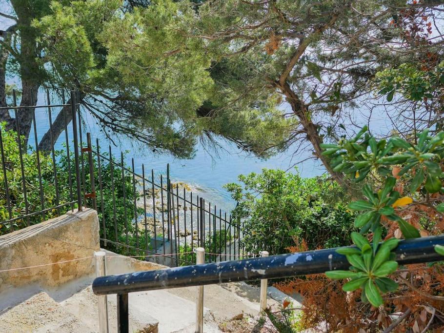 Maisonnette Avec Vue Sur La Mer Exceptionnelle Carqueiranne Kültér fotó