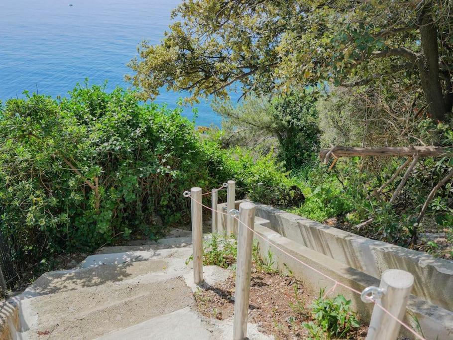 Maisonnette Avec Vue Sur La Mer Exceptionnelle Carqueiranne Kültér fotó